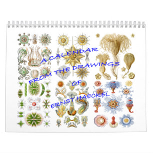 Ein Kalender von den Zeichnungen von Ernst Haeckel