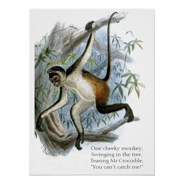 Ein kalter Affe CC0365 Kinder Poster (Vorderseite)