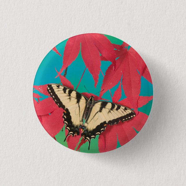 Ein kanadischer Tiger-Frack-Schmetterling Button (Vorderseite)