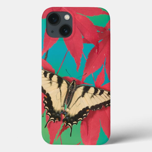 Ein kanadischer Tiger-Frack-Schmetterling Case-Mate iPhone Hülle (Rückseite)