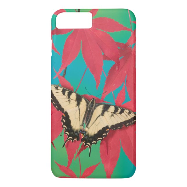 Ein kanadischer Tiger-Frack-Schmetterling Case-Mate iPhone Hülle (Rückseite)