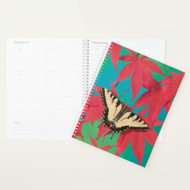 Ein kanadischer Tiger-Frack-Schmetterling Planer (Anzeige)