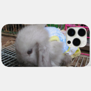 Ein Kaninchen in einem Kleid iPhone 16 Pro Max Hülle