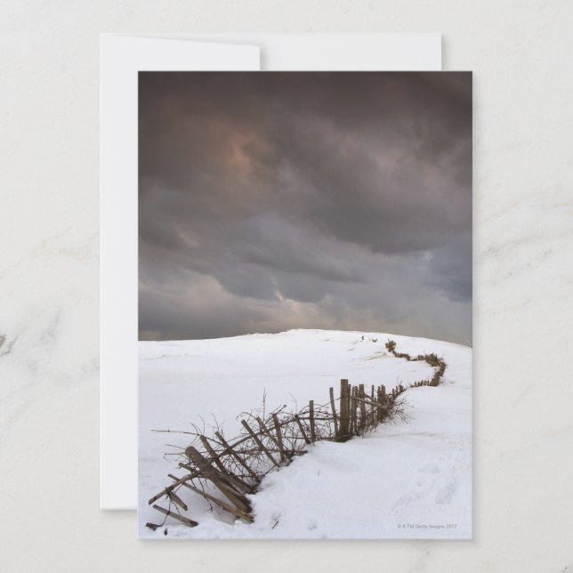 Ein kaputter Zaun (Vorderseite)