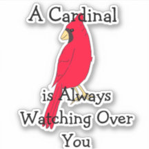 Ein Kardinal beobachtet dich immer.