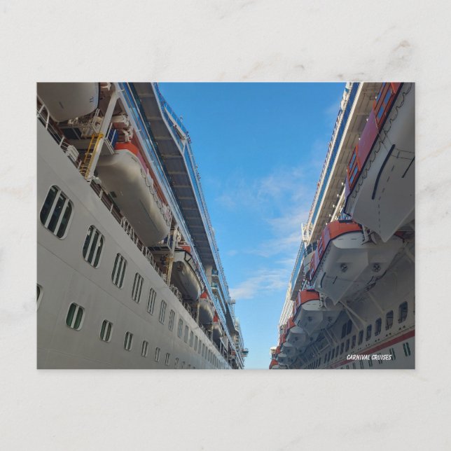 Ein Karneval der Meere Postkarte (Vorderseite)