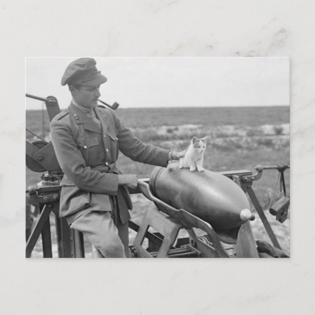 Ein Kätzchen im Krieg Postkarte (Vorderseite)