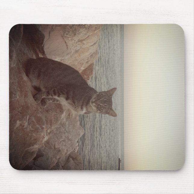 Ein Katzenmodus Mousepad (Vorne)