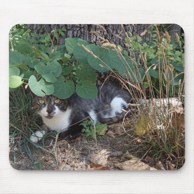 Ein Katzenversteck Mousepad (Vorne)