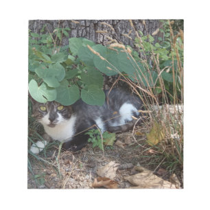 Ein Katzenversteck Notizblock