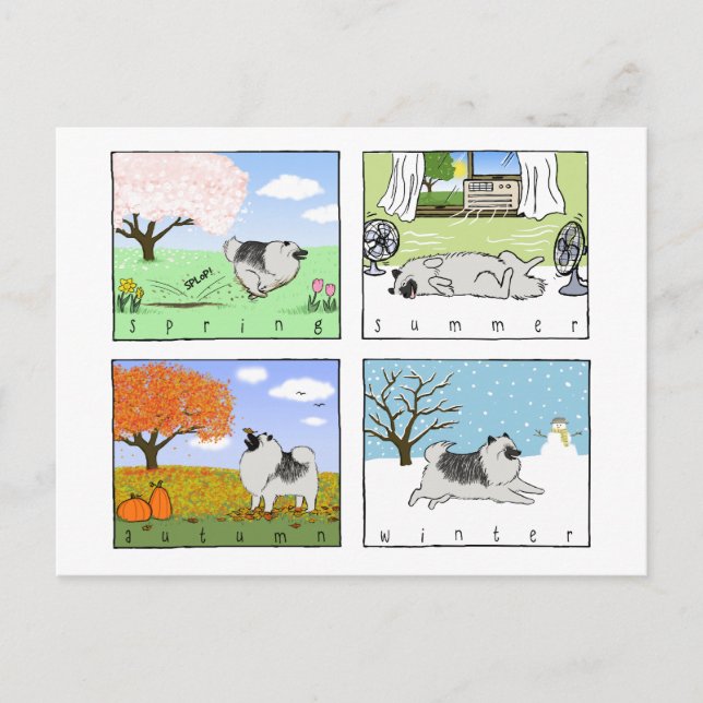 Ein Keeshond genießt die vier Jahreszeiten - Spaß  Postkarte (Vorderseite)
