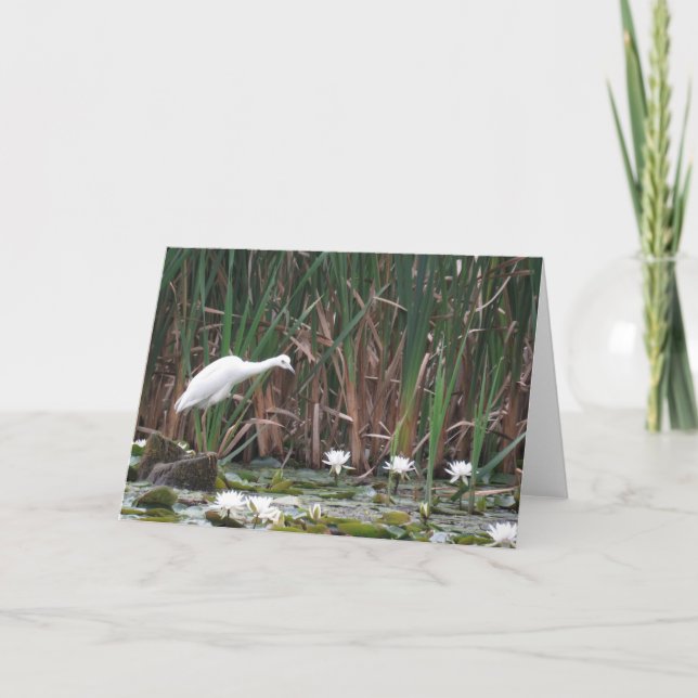 Ein kleiner blauer Heron Fischen Karte (Vorderseite)