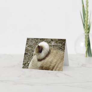 Ein kleiner Curlicon in Ihrer Lebensmerkkarte Karte