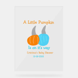 Ein kleiner Kürbis ist auf dem Weg, Babydusche ora Acrylschild