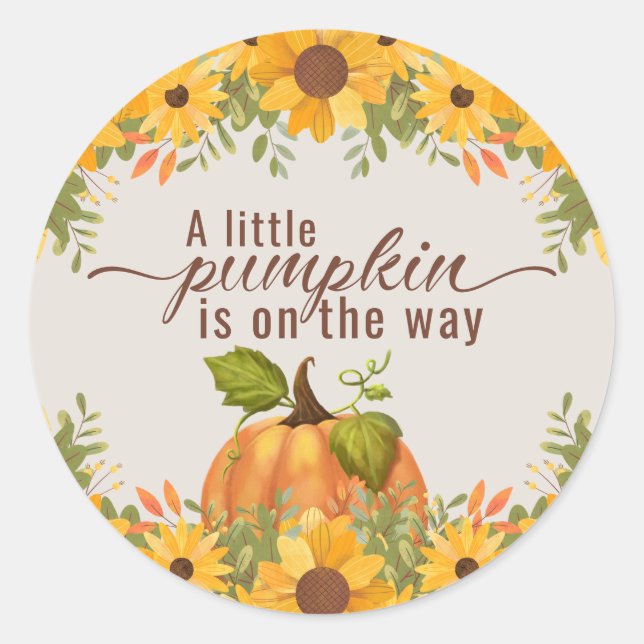 Ein kleiner Kürbis ist auf dem Weg zur Babydusche Runder Aufkleber (Vorderseite)