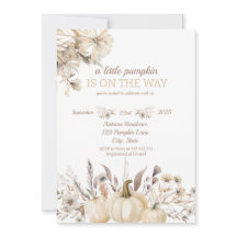 Ein kleiner Kürbis ist unterwegs