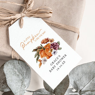 Ein kleiner Kürbis ist unterwegs Geschenkanhänger