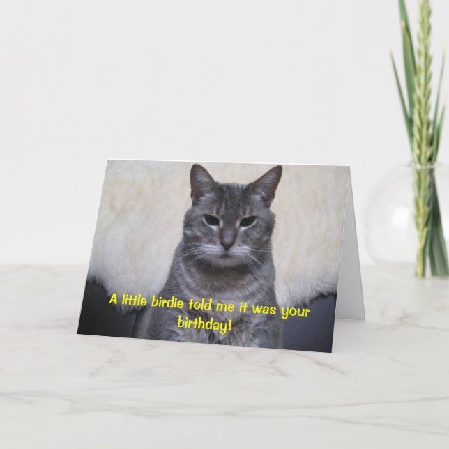 Ein kleiner Piepmatz sagte mir, dass er Ihr Karte (Vorderseite)