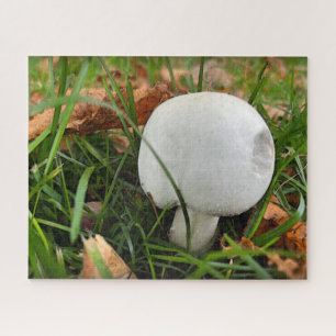 Ein kleiner Pilz Puzzle