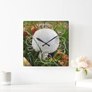 Ein kleiner Pilz Quadratische Wanduhr
