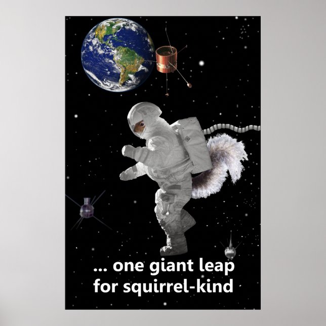 Ein kleiner Schritt für Eichhörnchen Poster (Vorne)