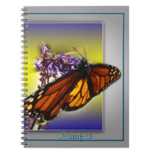 Ein kleiner süßer Schmetterling