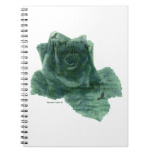 Ein kleiner Vogel erzählte mir Rose