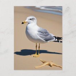 Ein kleiner, von Gramm umgebener, hübscher Strand Postkarte