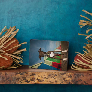 Ein kleiner, vor einigen Strandhütten Stehender Ba Fotoplatte