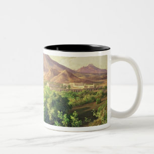 Ein kleiner Vulkan in mexikanischer Landschaft, Zweifarbige Tasse