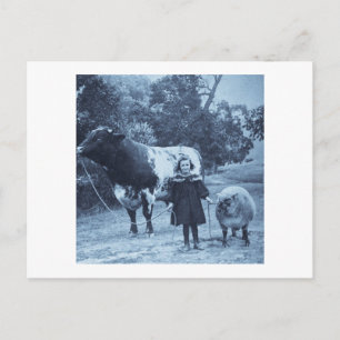 Ein kleines Kind soll sie mit Cyanotype führen - V Postkarte