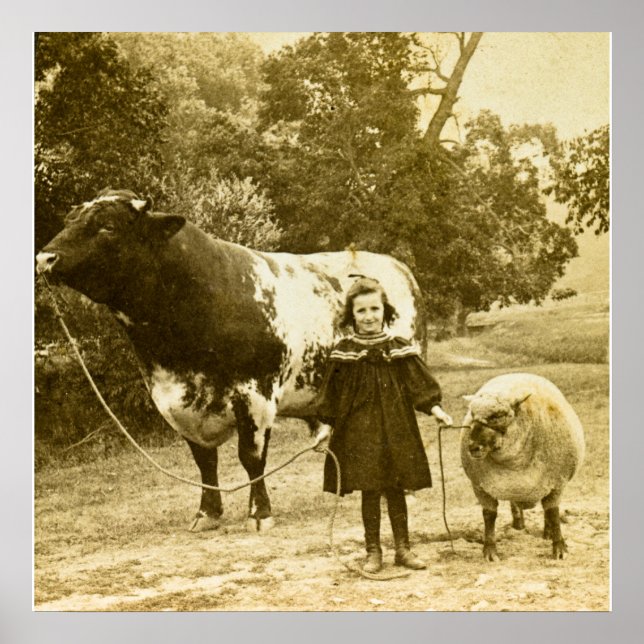 Ein kleines Kind wird sie führen Poster (Vorne)