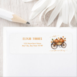 Ein kleines Pumpkin Fall Baby Duschgeschlecht neut