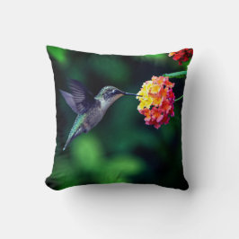 Ein Kolibri trinkt Nektar Grüner Hintergrund Kissen