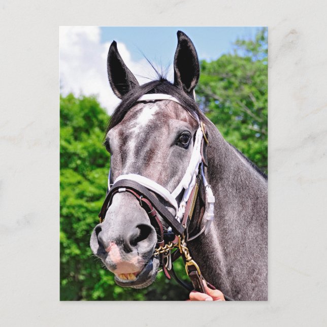 Ein König-Mann Postkarte (Vorderseite)