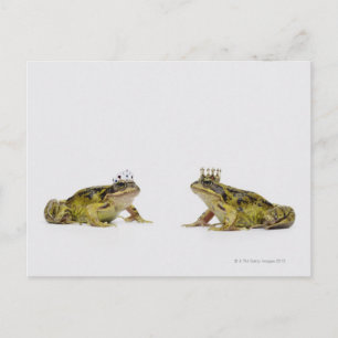ein König und Königin Frosch, der sich anschaut Postkarte