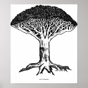Ein kranker Wind brennt   Drachenblut-Baum durch Poster