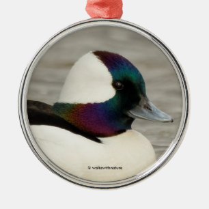 Ein kurioses Bufflehead Silbernes Ornament