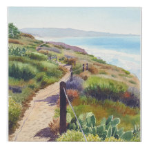 Ein landschaftlicher Weg innerhalb des Torrey Pine