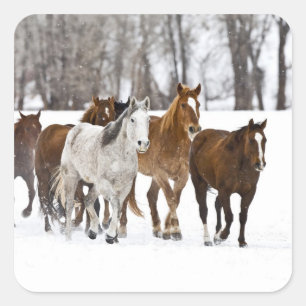 Ein landschaftlicher Winter Quadratischer Aufkleber
