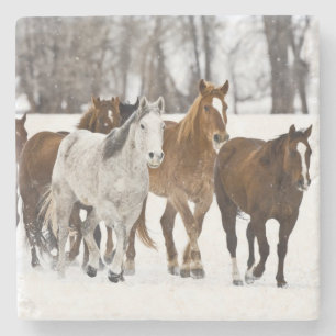 Ein landschaftlicher Winter Steinuntersetzer