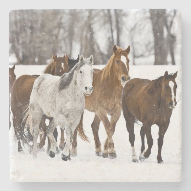 Ein landschaftlicher Winter Steinuntersetzer (Vorderseite)