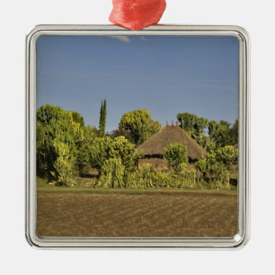Ein landwirtschaftlich genutztes Feld vor Häusern Ornament Aus Metall
