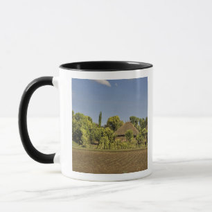 Ein landwirtschaftlich genutztes Feld vor Häusern Tasse