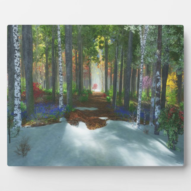 Ein langer Spaziergang Fotoplatte (Vorderseite)