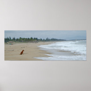 Ein Leben für Hunde Poster