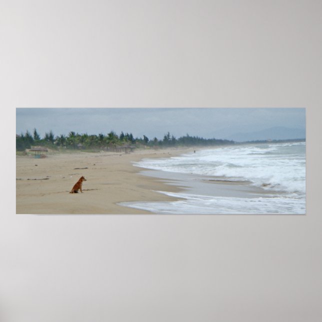 Ein Leben für Hunde Poster (Vorne)