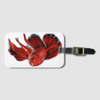 Ein lebendiger roter Kampffisch schwimmt. Gepäckanhänger