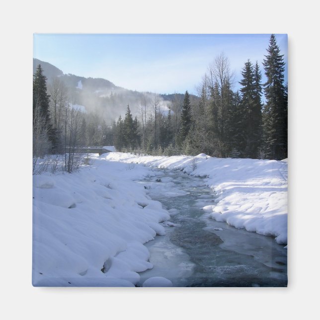 Ein lebhafter morgendlicher Spaziergang zum Whistl Magnet (Vorne)