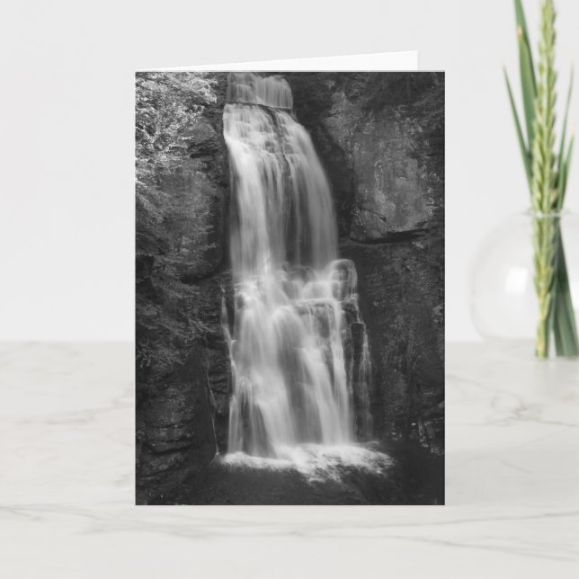 Ein leiser Roar Karte (Vorderseite)